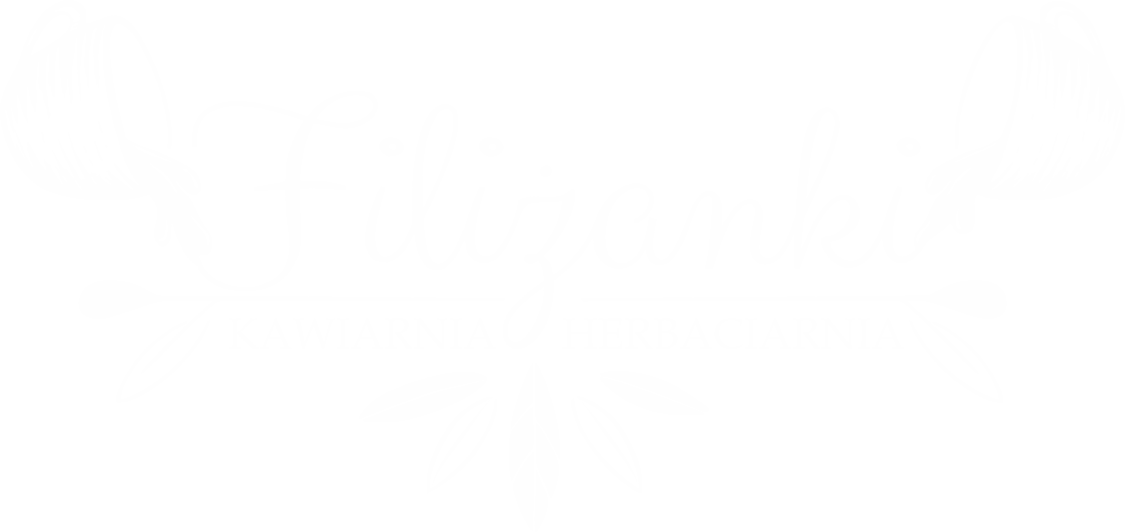 kawiarnia filizanki